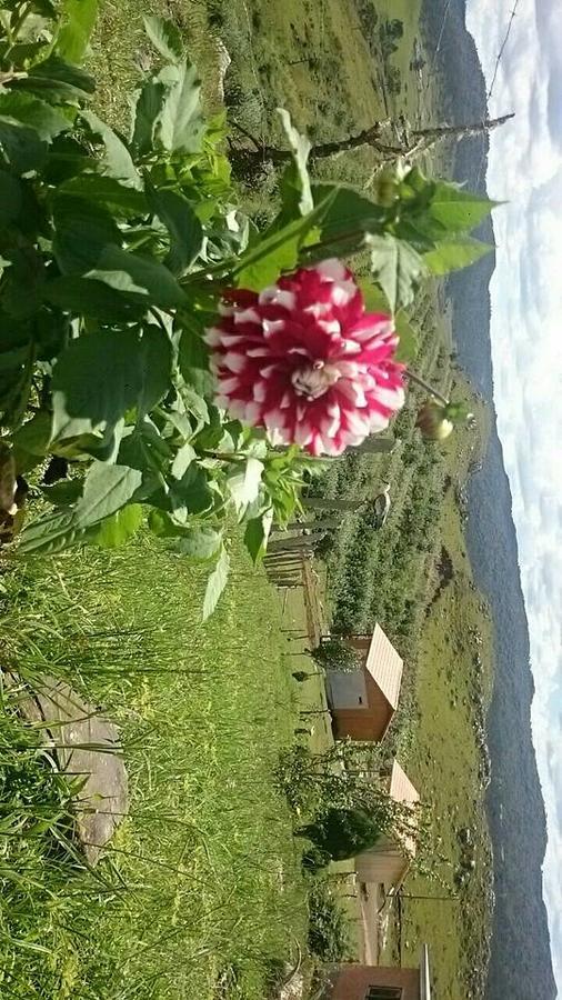 Paraíso Dos Cânions