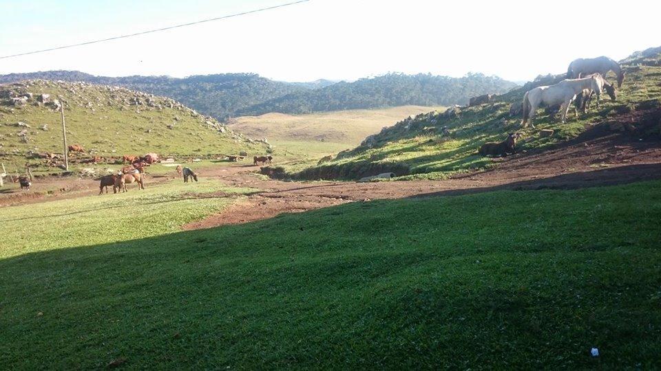 Paraíso Dos Cânions Alojamento de Turismo Selvagem Bom Jardim da Serra